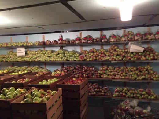 Apples stored in cooler